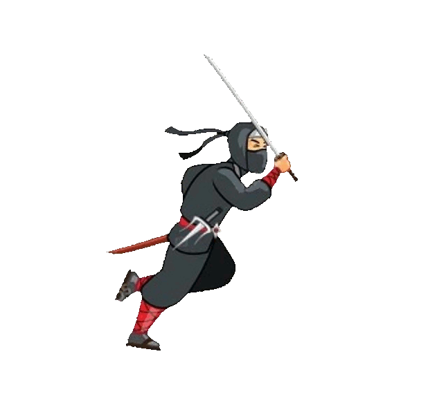 ninja
