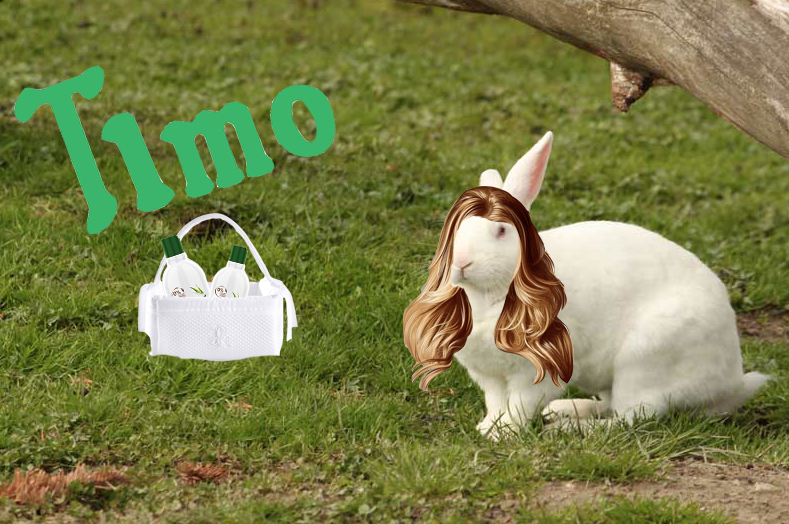 LAPIN1